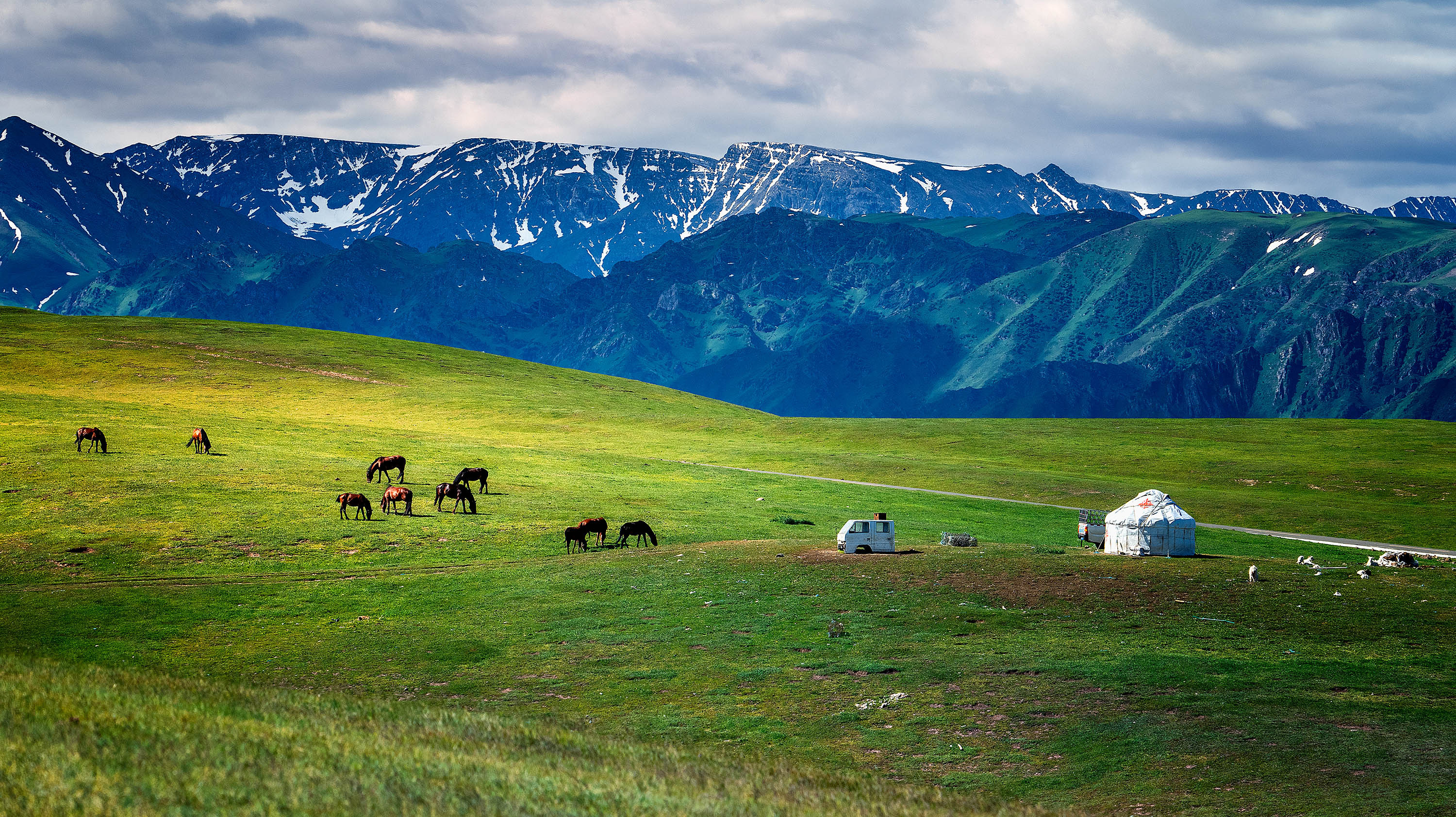 新疆塔城:雪山下的牧场