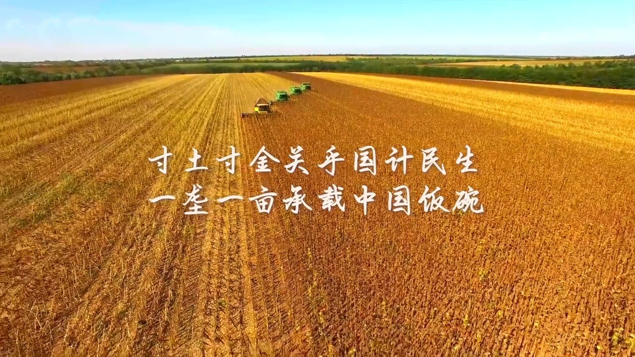 保护黑土地 大国粮仓更稳固