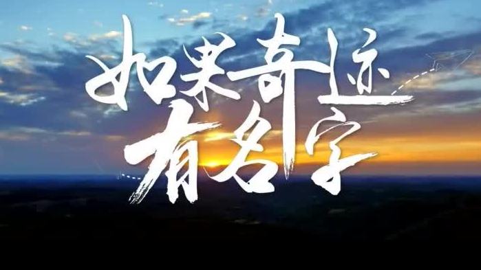 如果奇迹有名字