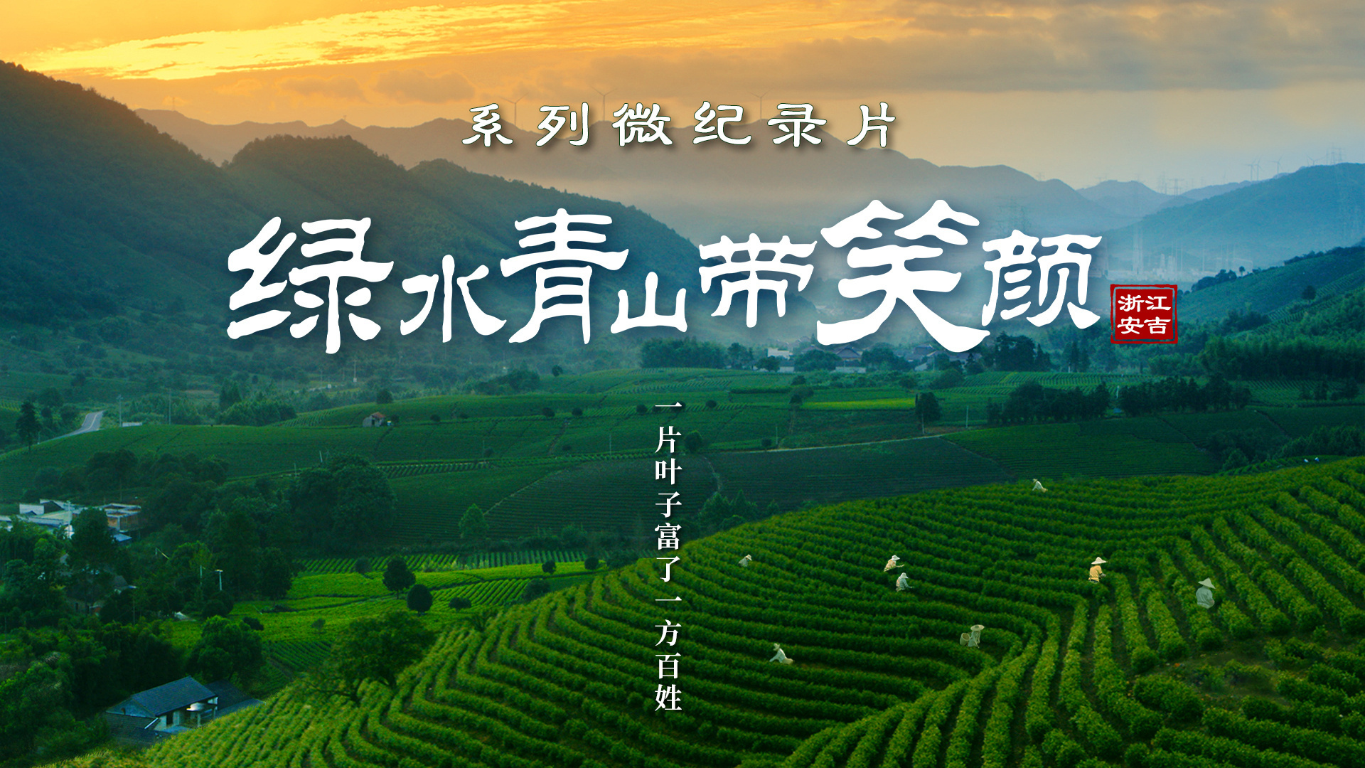 绿水青山带笑颜|一片叶子富了一方百姓