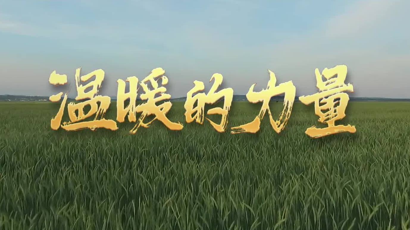 温暖的力量