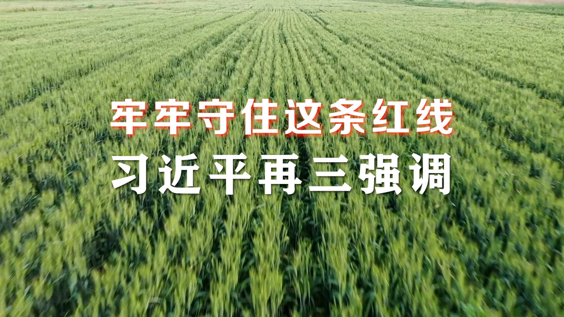 牢牢守住这条红线，习近平再三强调