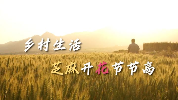 沿着总书记的足迹·山西篇：乡村生活芝麻开花节节高