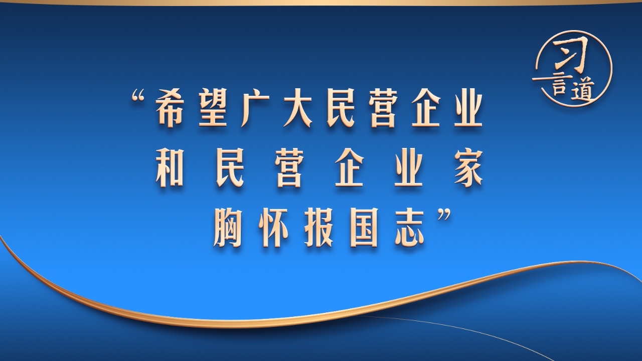 “希望广大民营企业和民营企业家胸怀报国志”