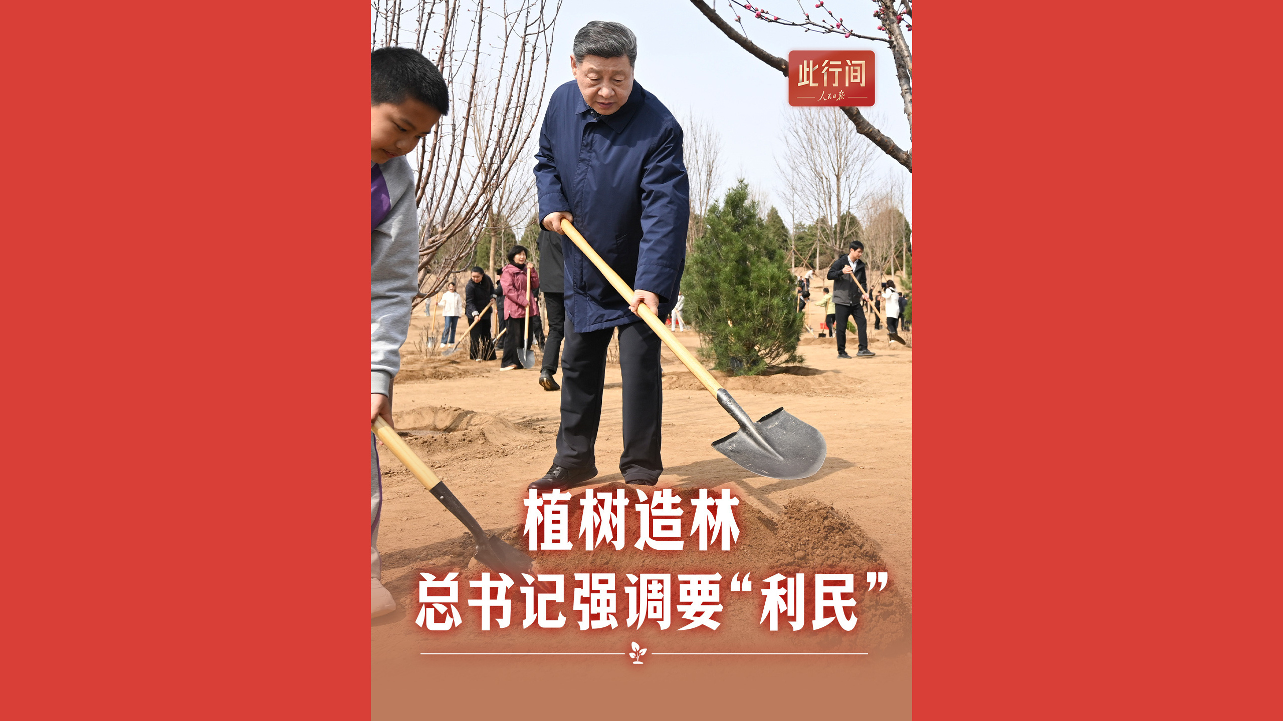 植树造林，总书记强调要“利民”