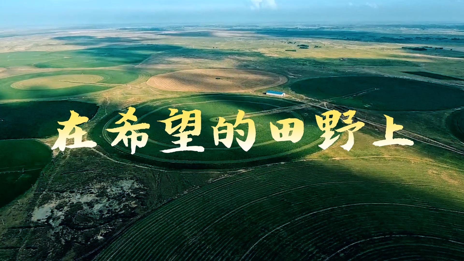 在希望的田野上