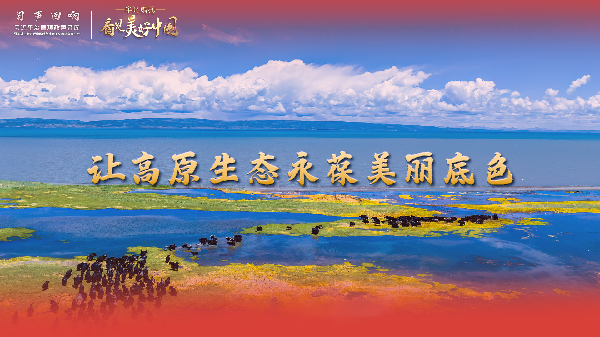 【牢记嘱托·看见美好中国】让高原生态永葆美丽底色