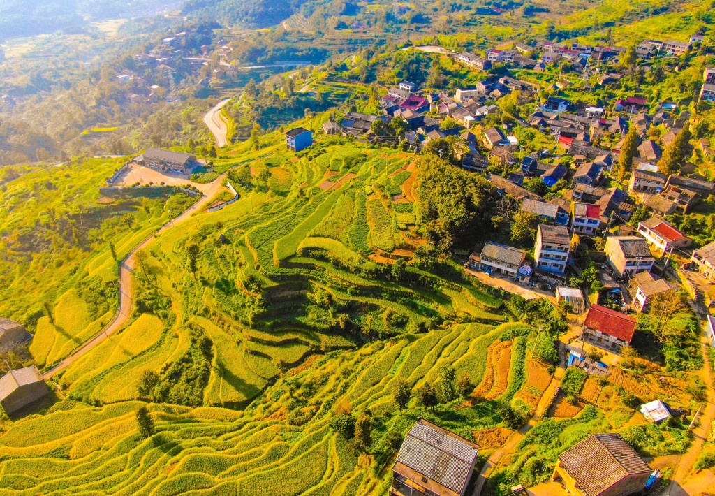每日名胜|浙江·枧头村