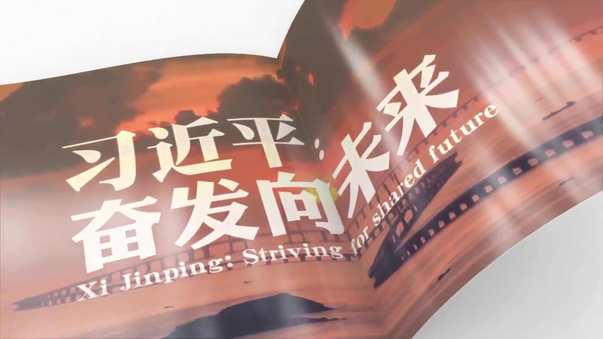 习近平：奋发向未来