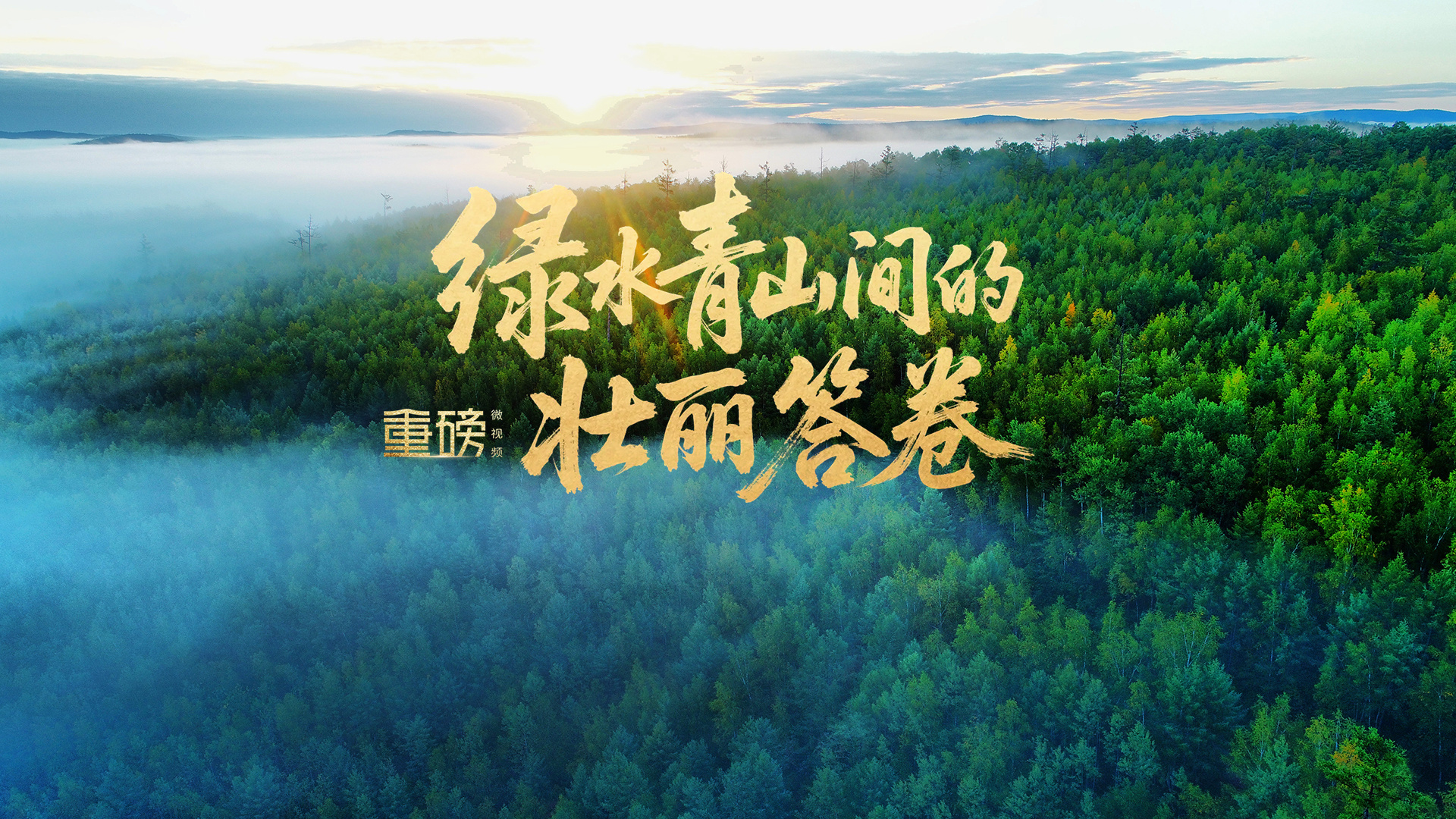 绿水青山间的壮丽答卷