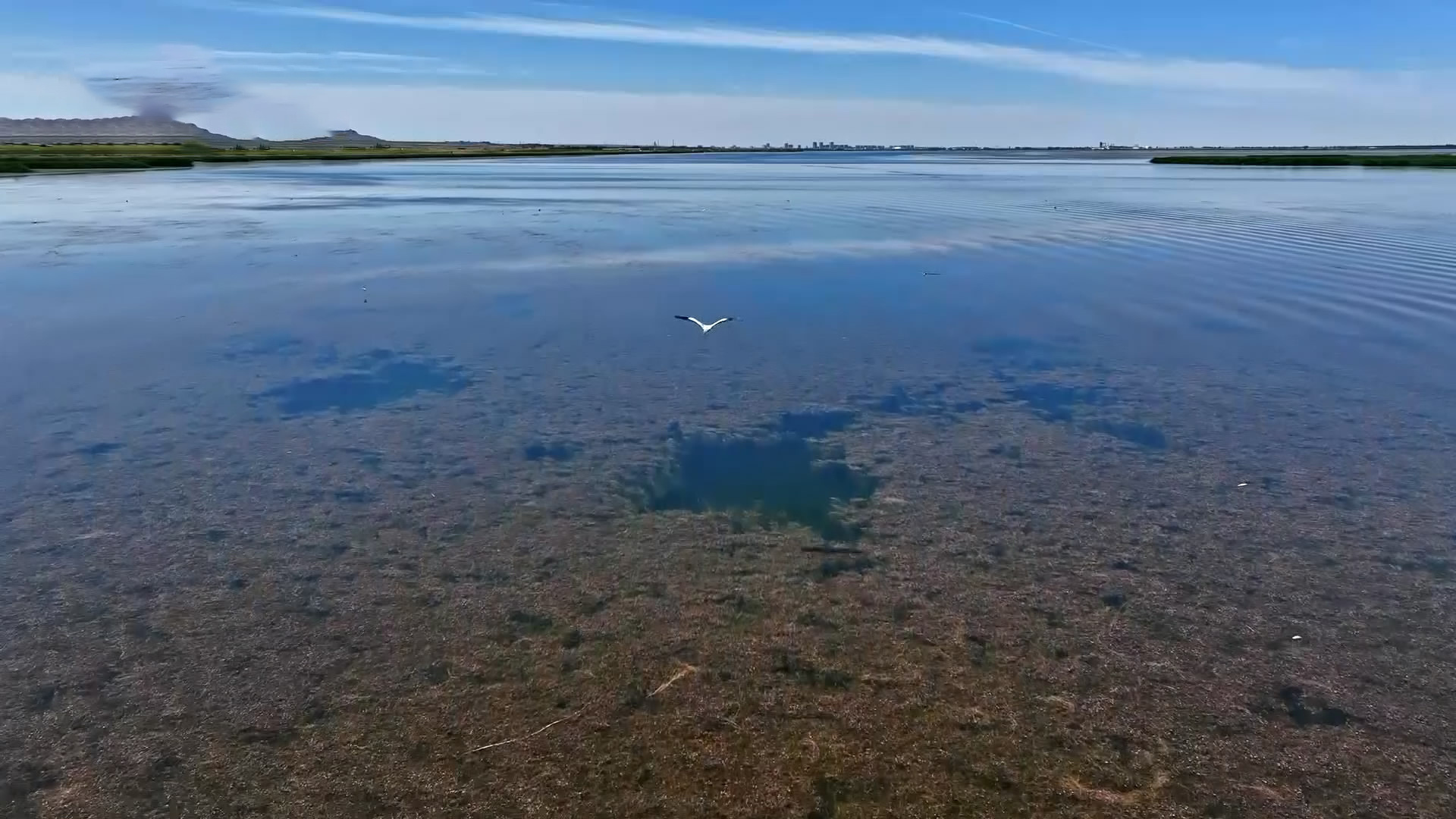 心系“三北” 久久为功