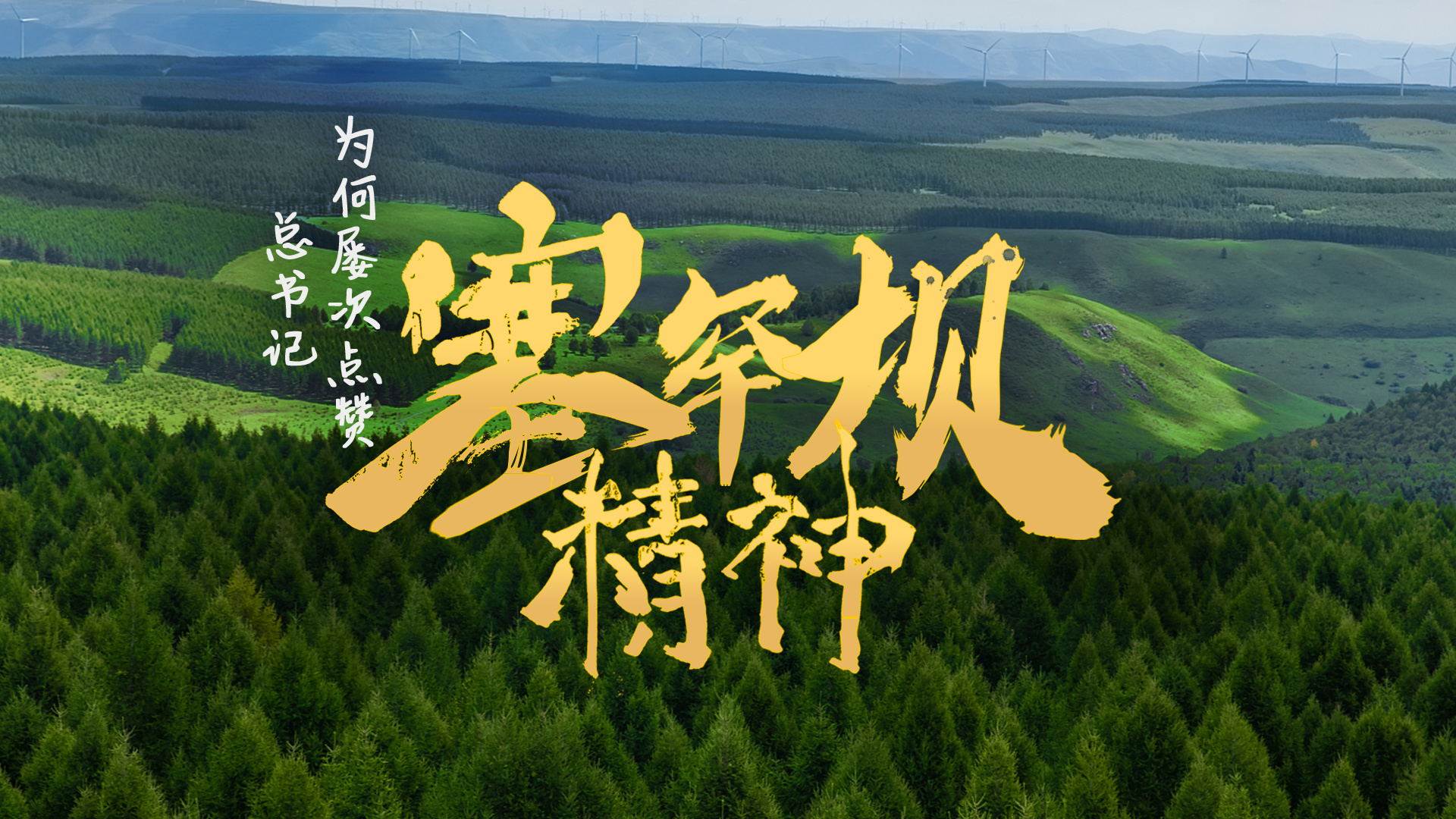 总书记为何屡次点赞塞罕坝精神