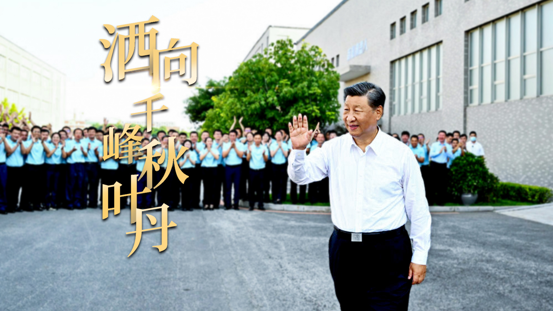 洒向千峰秋叶丹