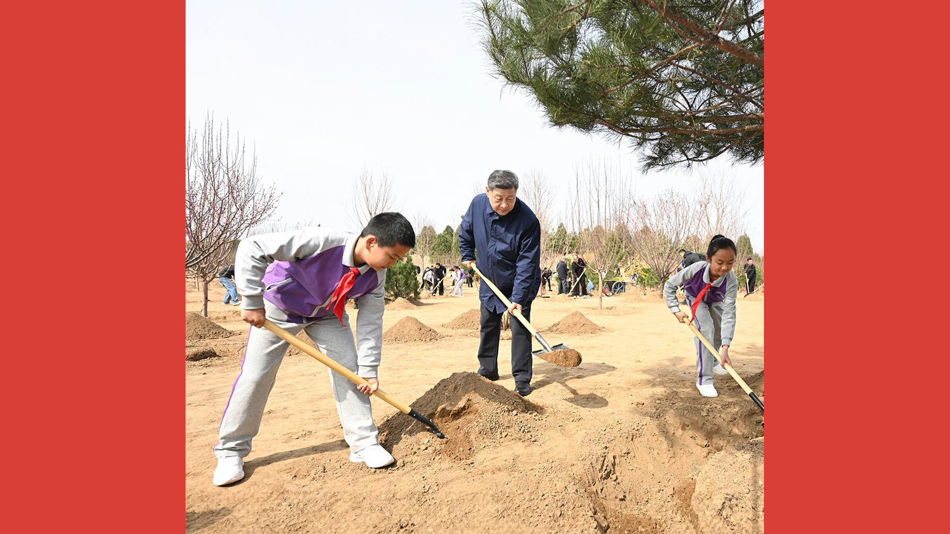 植树增绿 共同为祖国发展贡献力量
