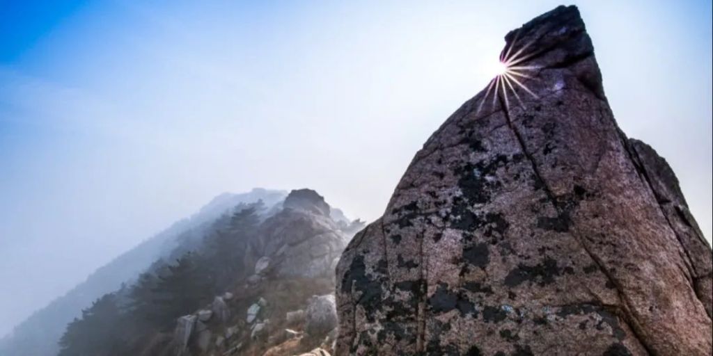 江苏东海:深化"党建 "提质赋能 走出乡村振兴幸福路