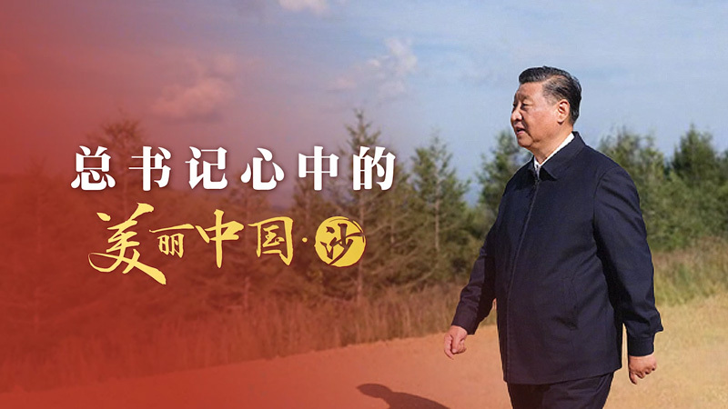 总书记心中的美丽中国·沙：困难面前不低头 敢把沙漠变绿洲