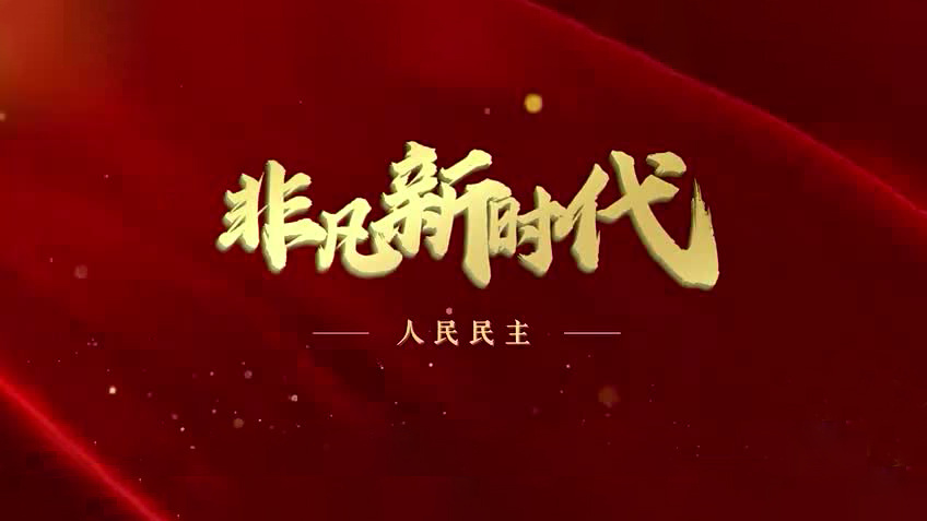 【非凡新时代】人民民主