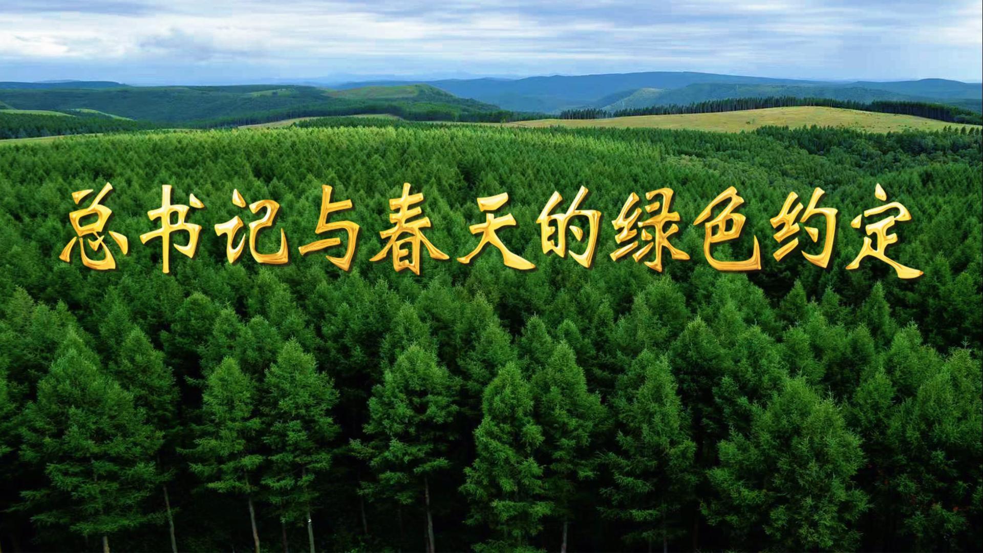总书记与春天的绿色约定