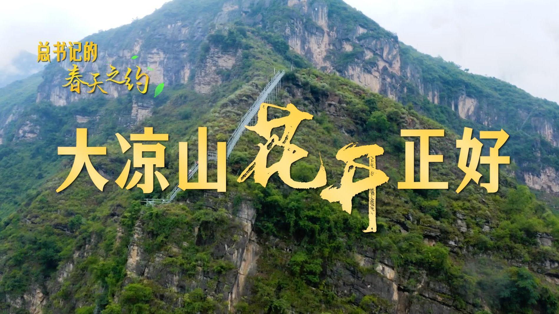 总书记的春天之约｜大凉山花开正好