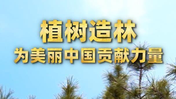 植树造林 为美丽中国贡献力量