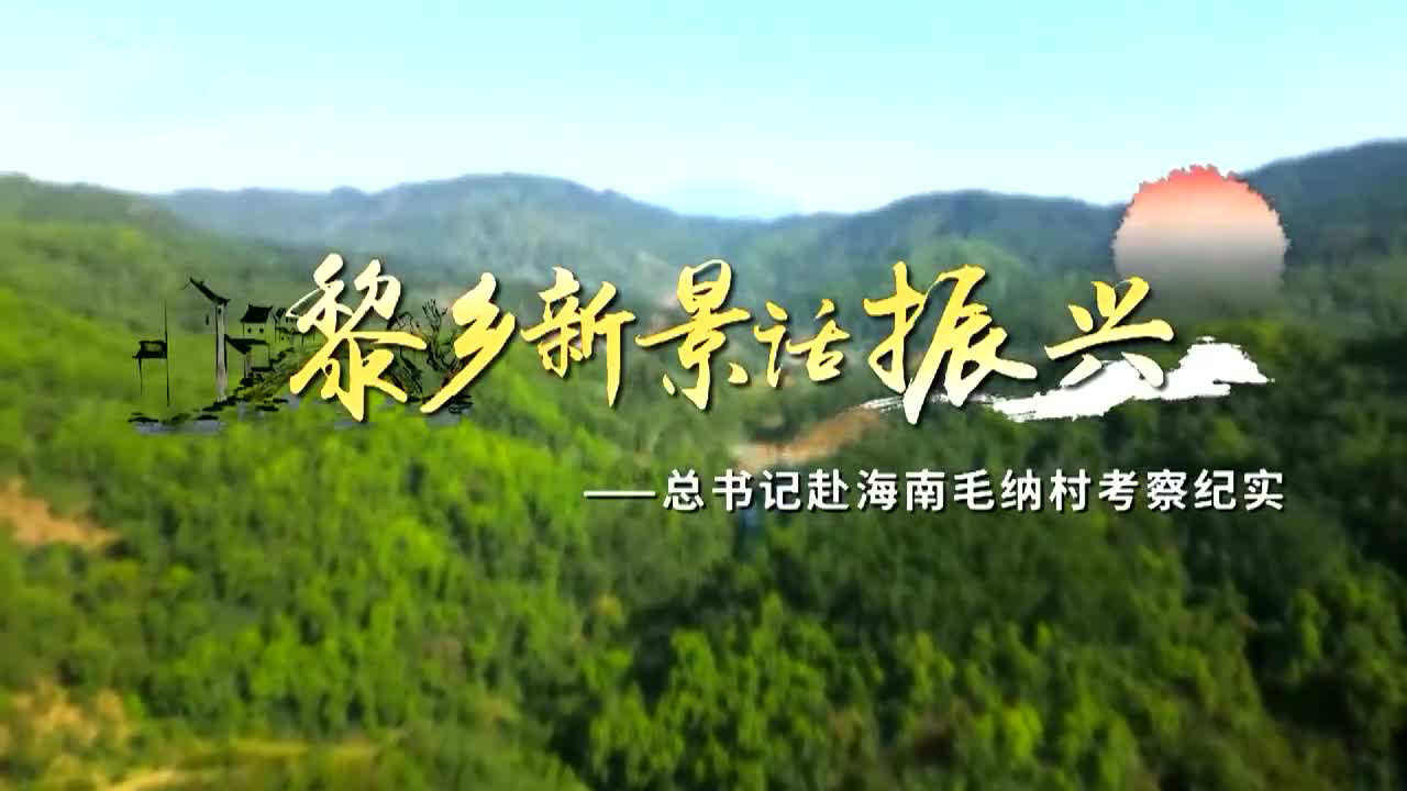 黎乡新景话振兴——总书记赴海南毛纳村考察纪实