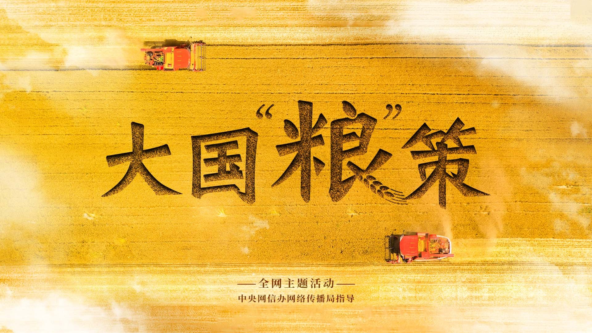 大国“粮”策