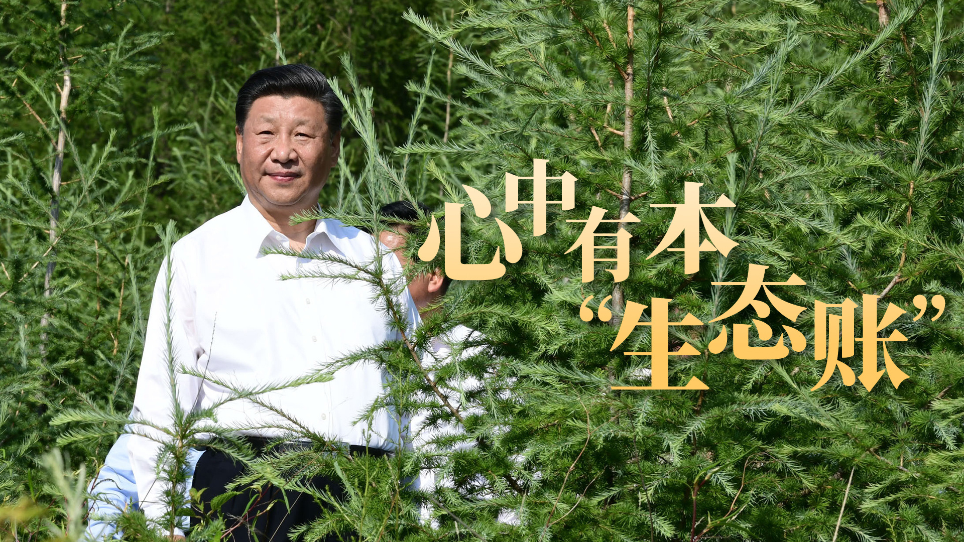 总书记关心的事｜心中有本“生态账”