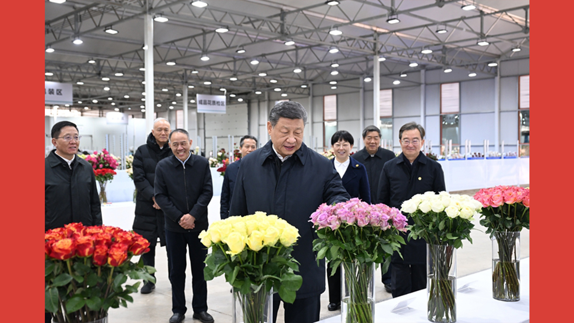 幸福生活，像花儿一样绽放