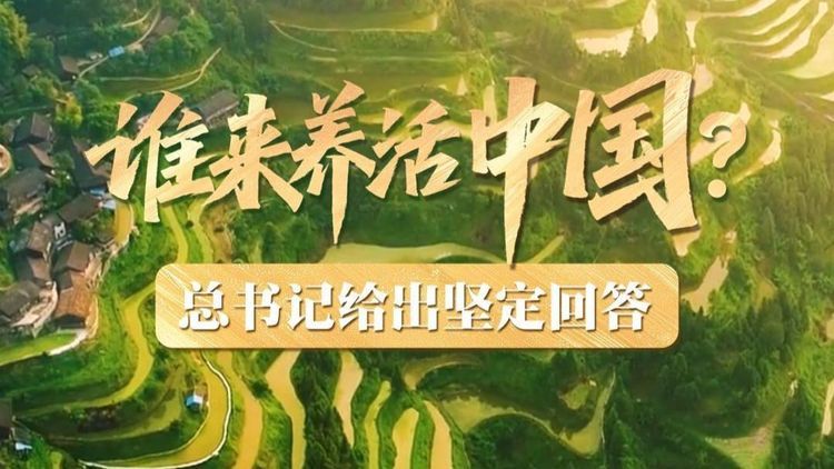 谁来养活中国？总书记给出坚定回答