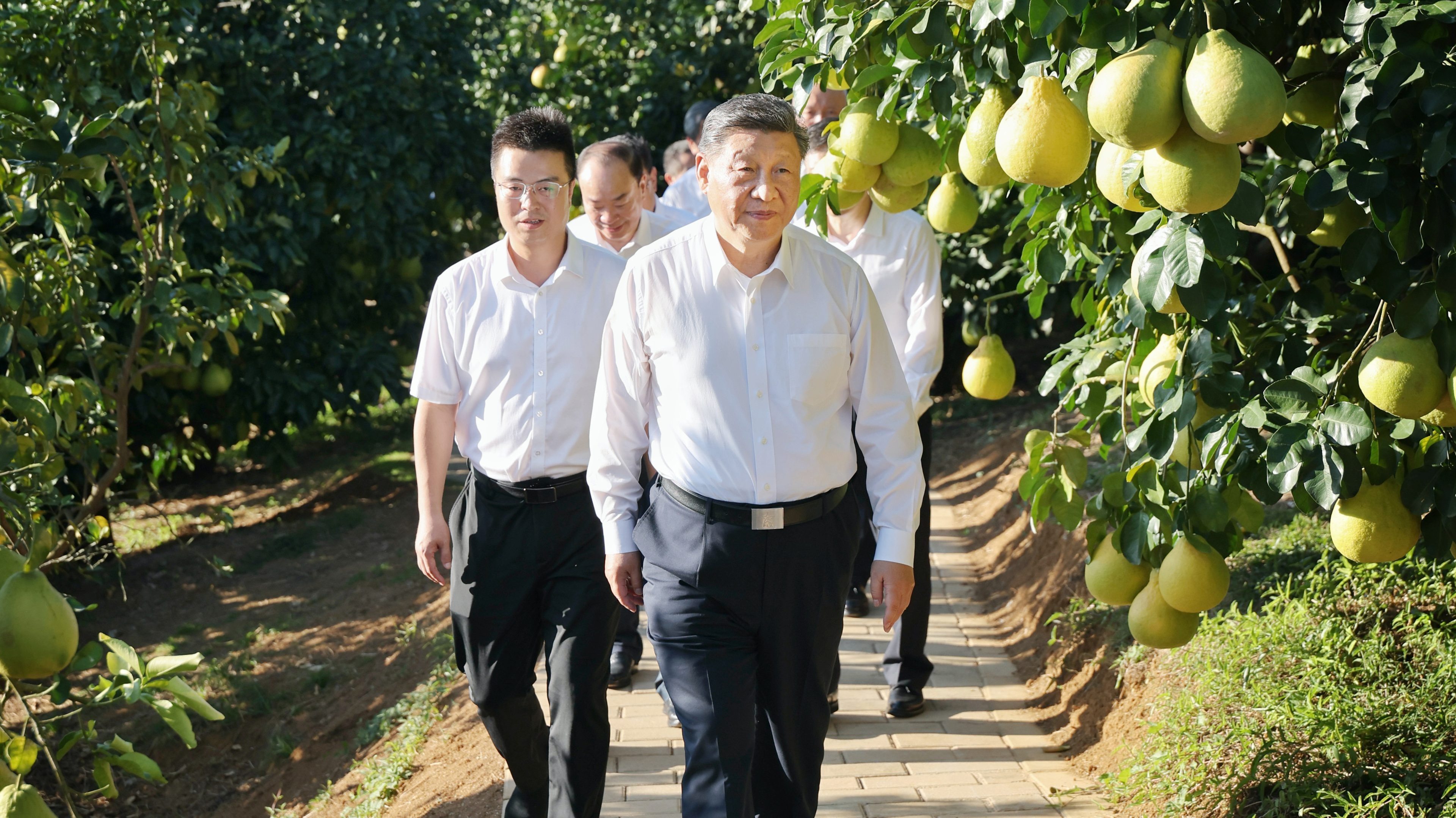 总书记多次考察广东，看习近平心系南粤大地