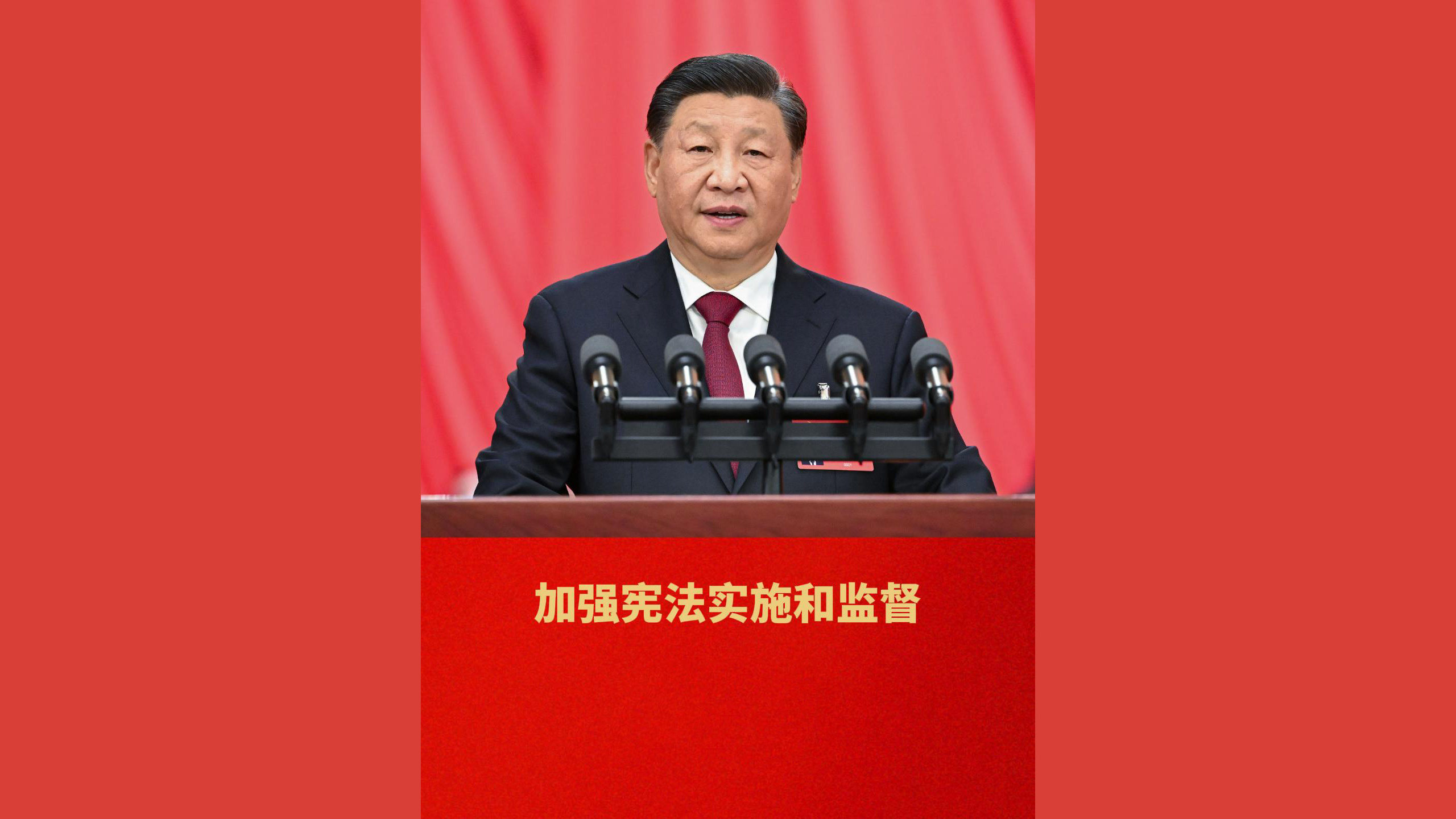 加强宪法实施和监督