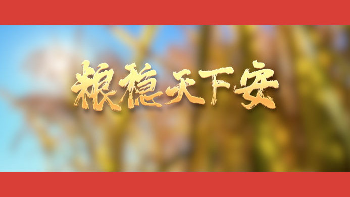 粮稳天下安