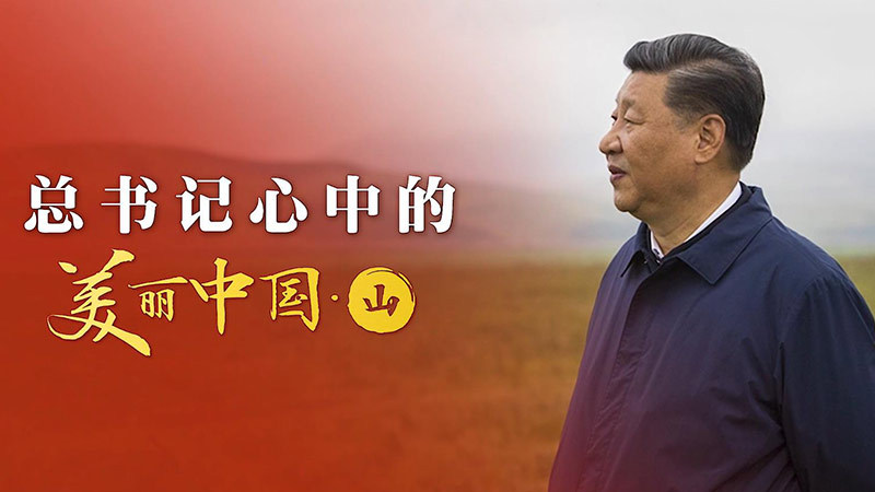 总书记心中的美丽中国·山：人不负青山 青山定不负人