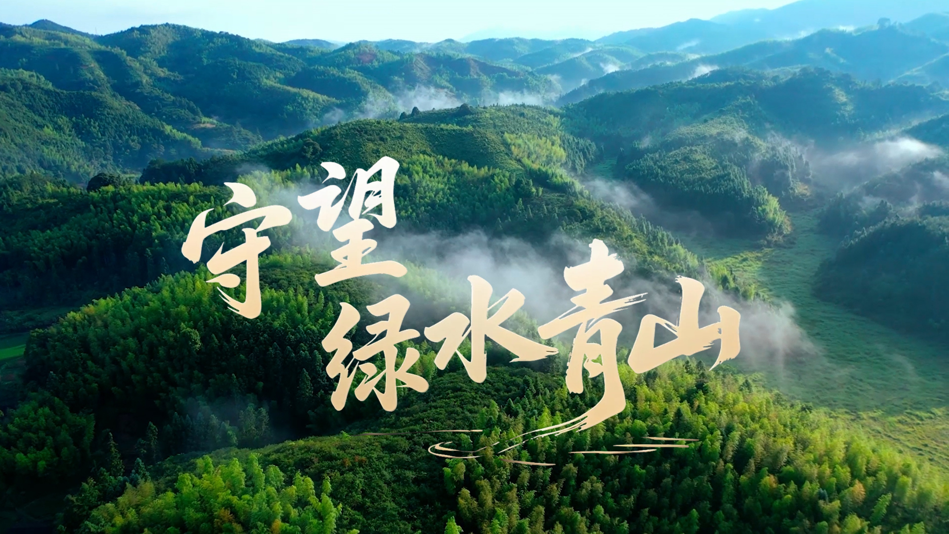 守望绿水青山