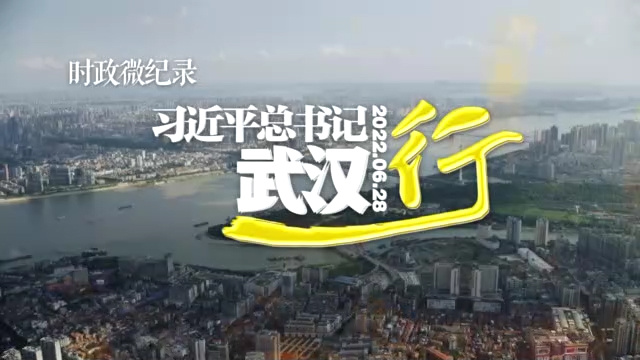 习近平总书记武汉行