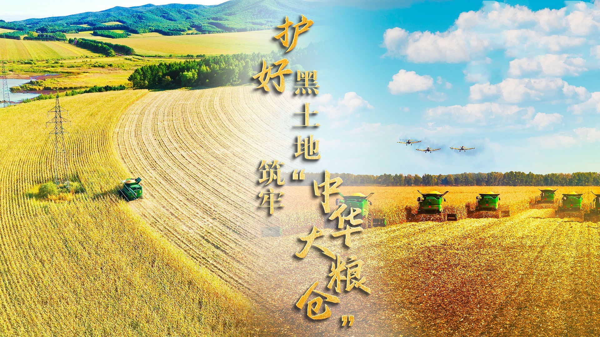 护好黑土地 筑牢“中华大粮仓”
