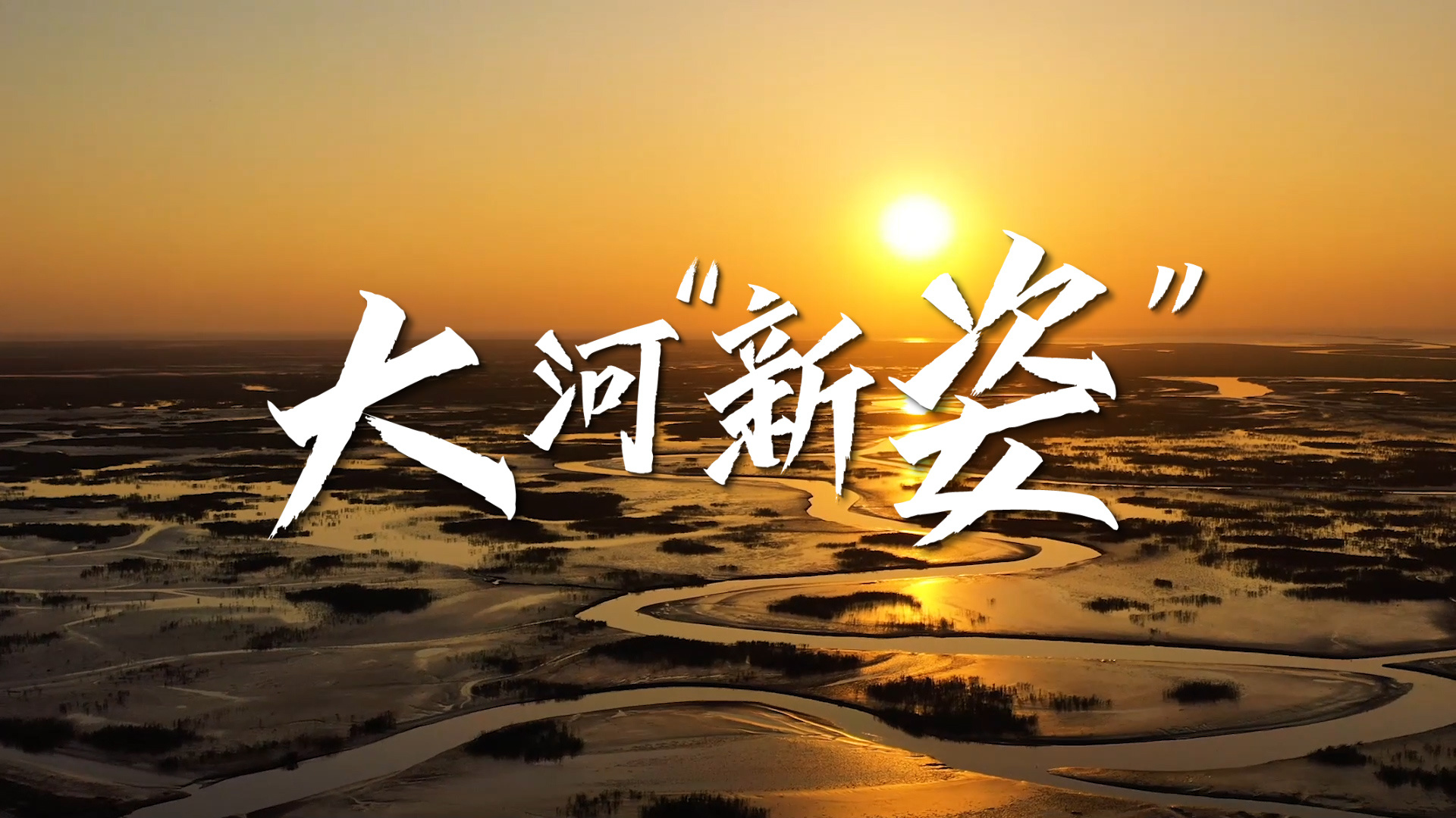 沿着总书记的足迹·山东篇：大河“新姿”