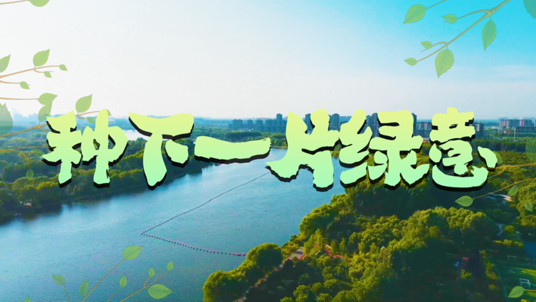 种下一片绿意