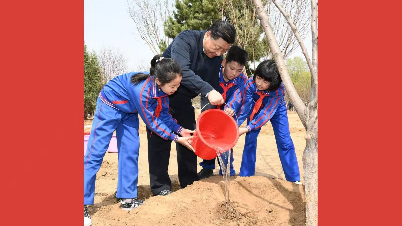 众人植树树成林