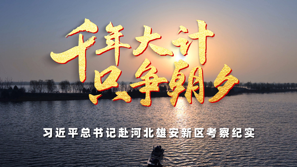 千年大计 只争朝夕——习近平总书记赴河北雄安新区考察纪实