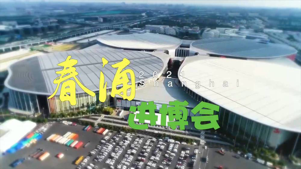 春涌进博会