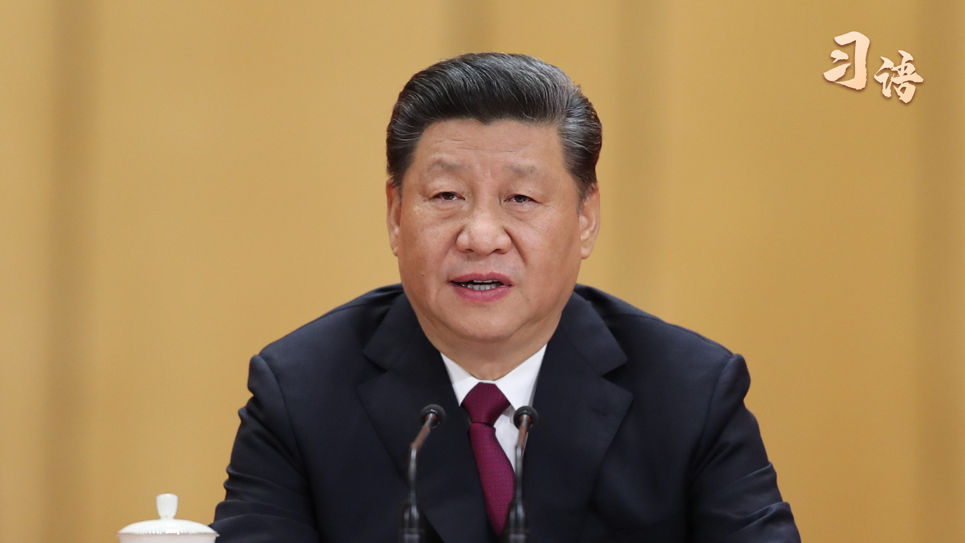 习语｜“人生理想的风帆要靠奋斗来扬起”