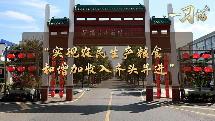 “实现农民生产粮食和增加收入齐头并进”
