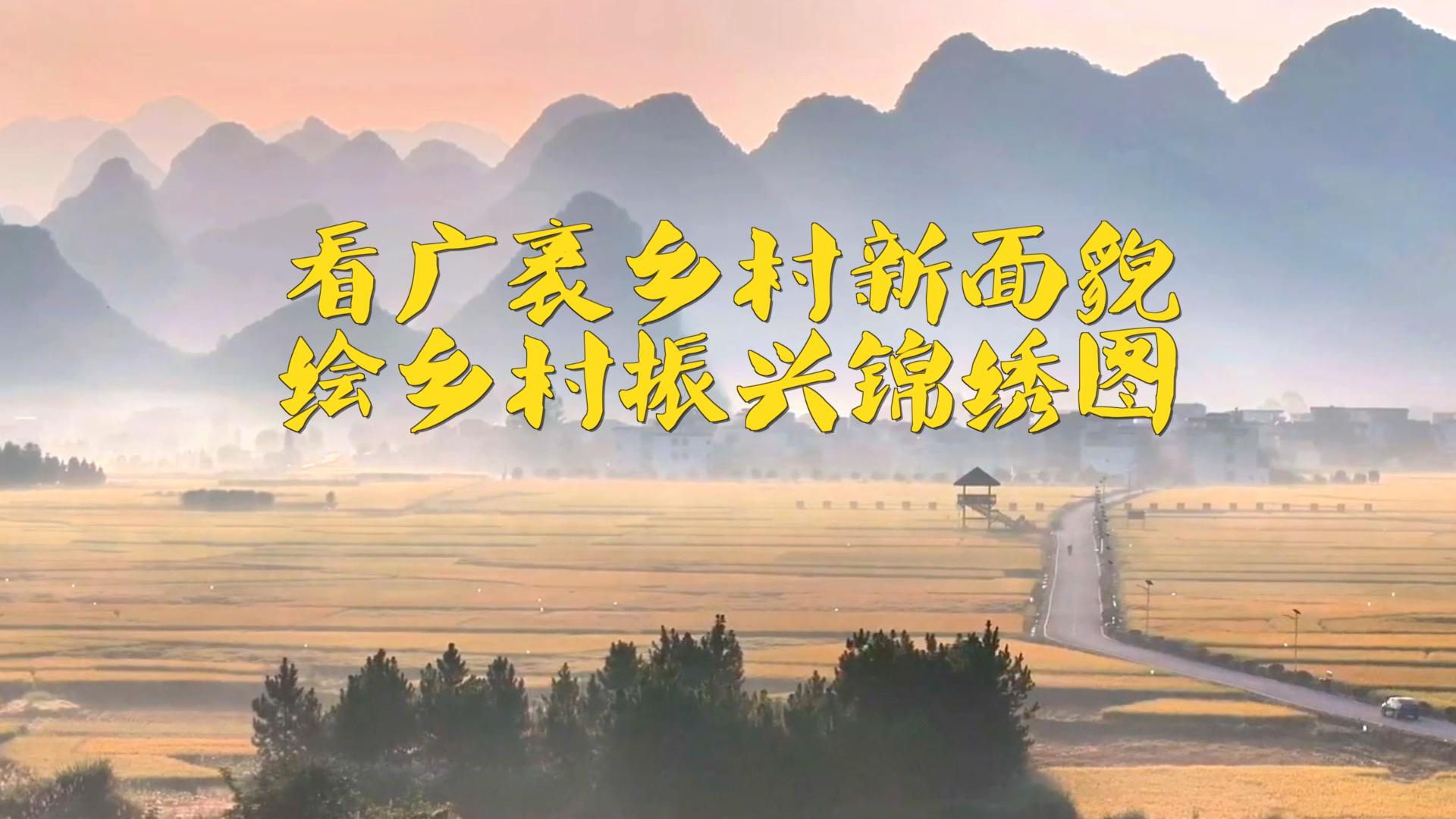 看广袤乡村新面貌 绘乡村振兴锦绣图