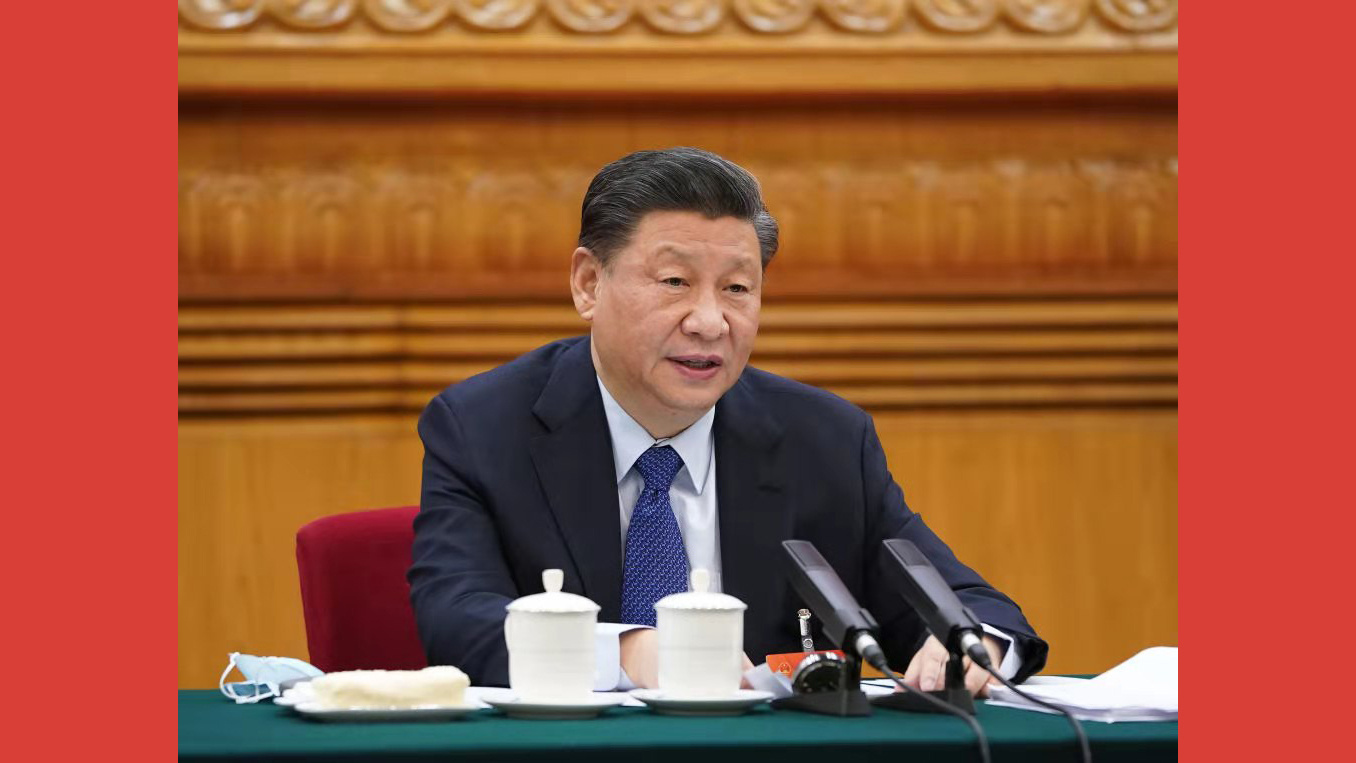 习声回响｜两会“下团组” 总书记殷切嘱托这些事