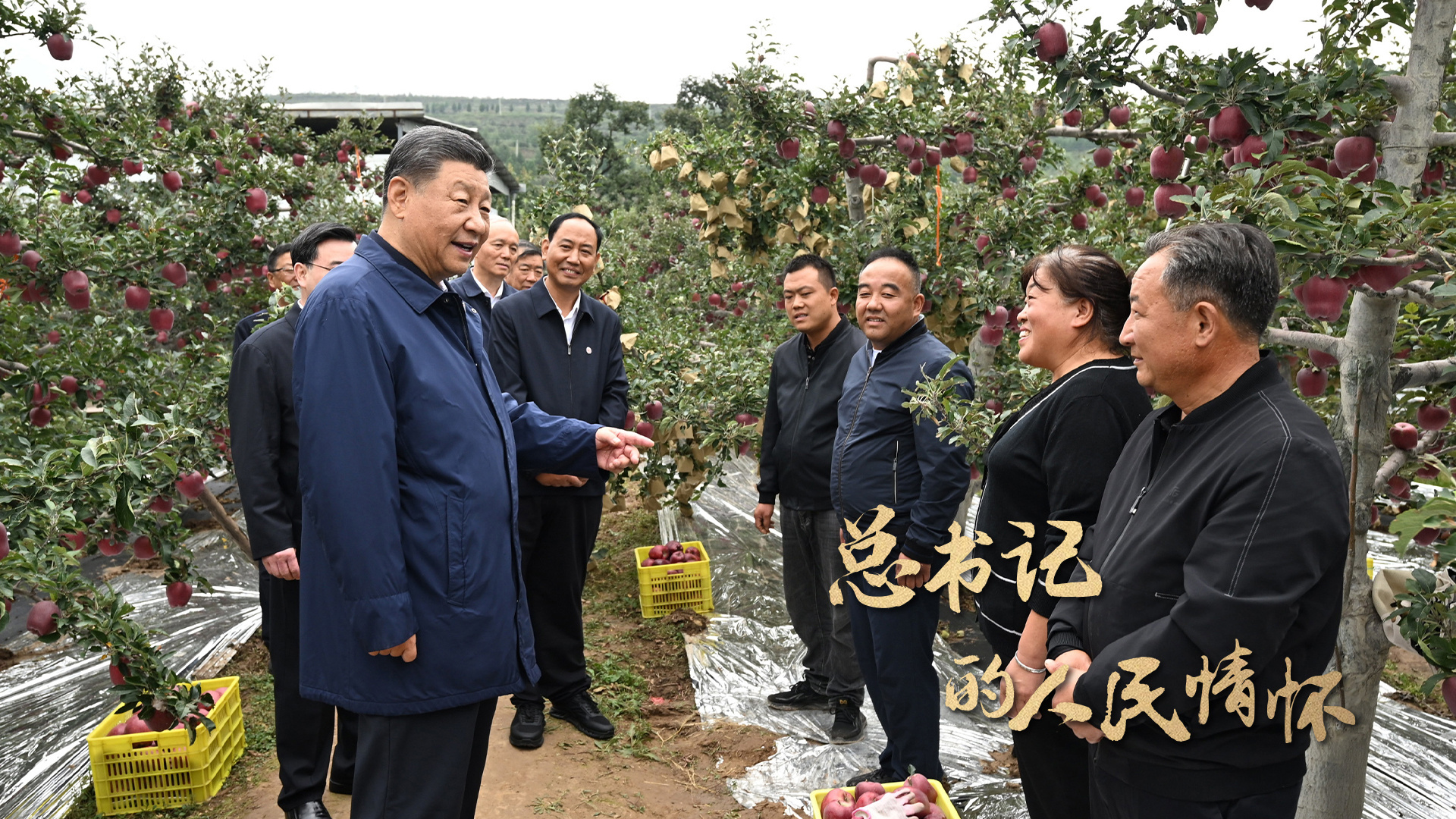 总书记的人民情怀｜“以加快农业农村现代化更好推进中国式现代化建设”