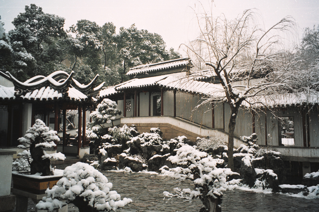 瞻园雪景 吴瞻 摄