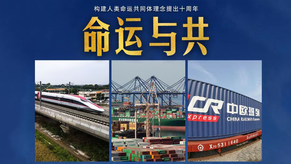 命运与共（央视新闻版）