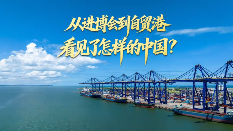 从进博会到自贸港，看见了怎样的中国？