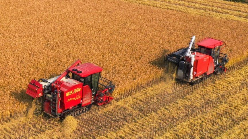 让农民挑上“金扁担”